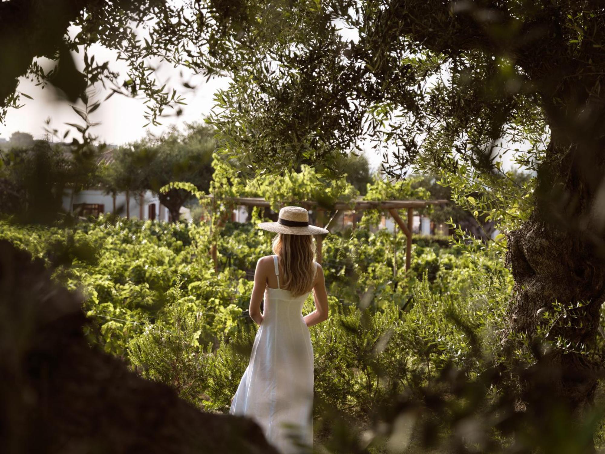 Lesante Cape Resort & Villas - The Leading Hotels Of The World Akrotiri  Exteriér fotografie
